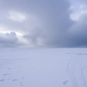 Snowy landscape illustrating polar vortex weather conditions.