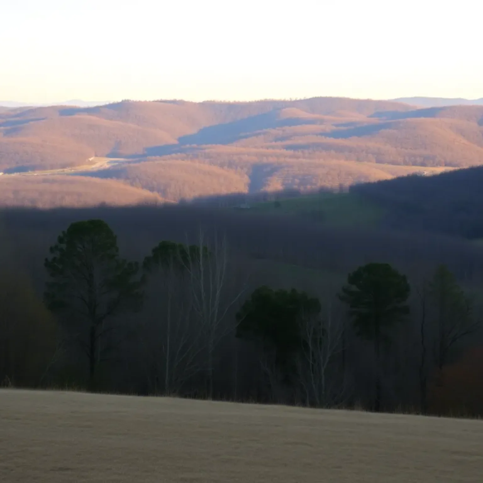 Salem South Carolina Landscape